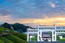 �������ε�����Ʊ�Ż�����