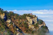 ®ɽ��Ʊ2026����Ʊ����