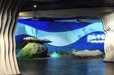 �Ž�����ݿ���ʱ��� ԤԼ�绰