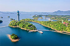 ®ɽ����ѧ��Ʊ���Ż�