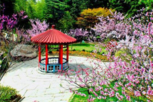 ®ɽ��ȥʮ�󾰵�