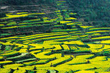 ��Դ���������·��