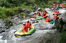 �Ž�Ư����Ʊ����Ǯ