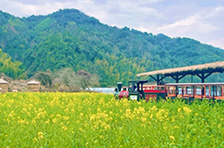 2026����Դ�Ͳ˻�ʲôʱ��