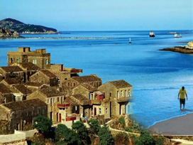 �Ž�������ƽ̶�������� ˫����