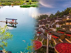 �Ž������� ������ ���ɹȶ�����