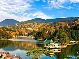 �Ž�®ɽ5��5�������š������Ρ�