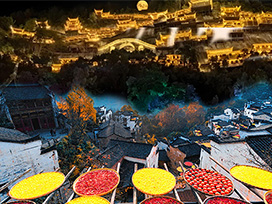 �ϲ���������5��4�� �����޹���